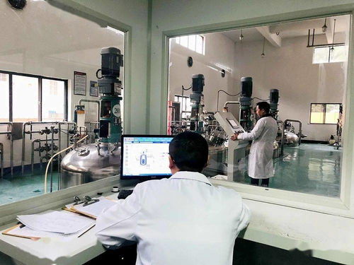 多措并举激活内生动力，全力推动工业商贸经济企稳回升——中国经济贸易发展新观察